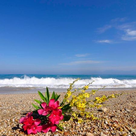 Almyra Beach House Corfu Almiros Beach 外观 照片