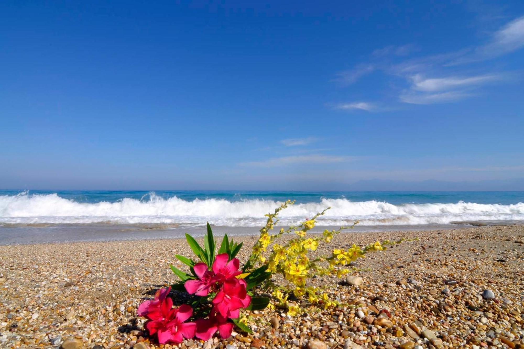 Almyra Beach House Corfu Almiros Beach 外观 照片